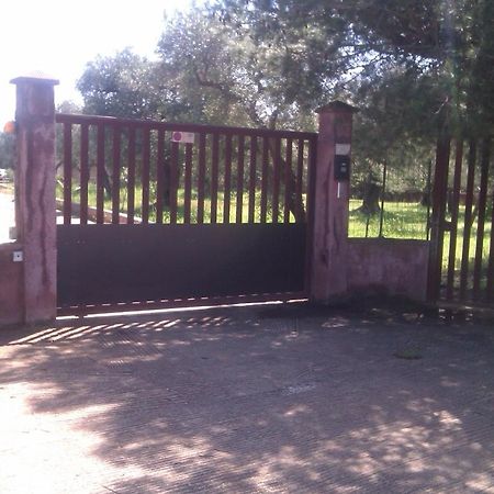 Villa Rustica Nardò Eksteriør bilde